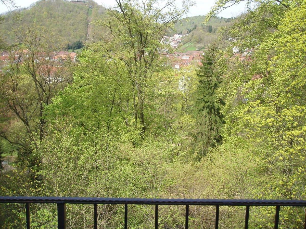 Pension/Bed And Breakfast Pangea Bad Lauterberg im Harz Exterior foto